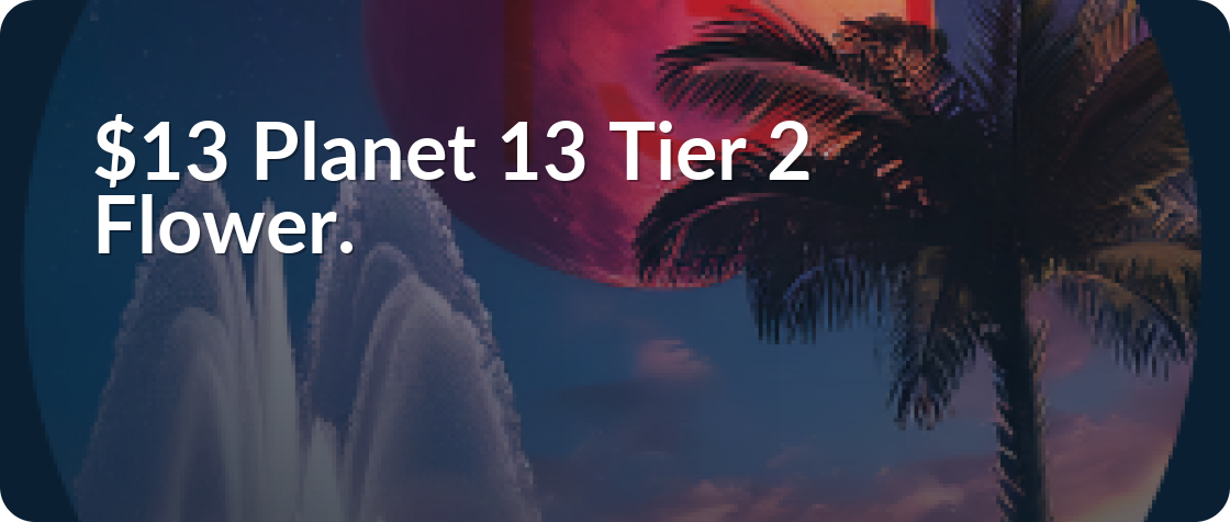 Planet 13