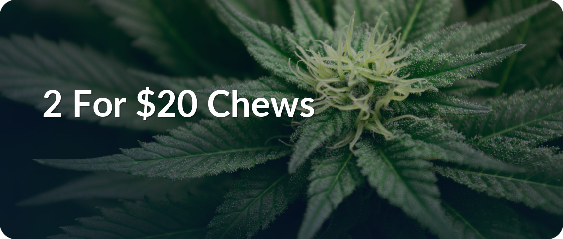 Mint Cannabis