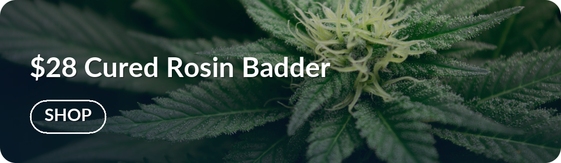 Mint Cannabis