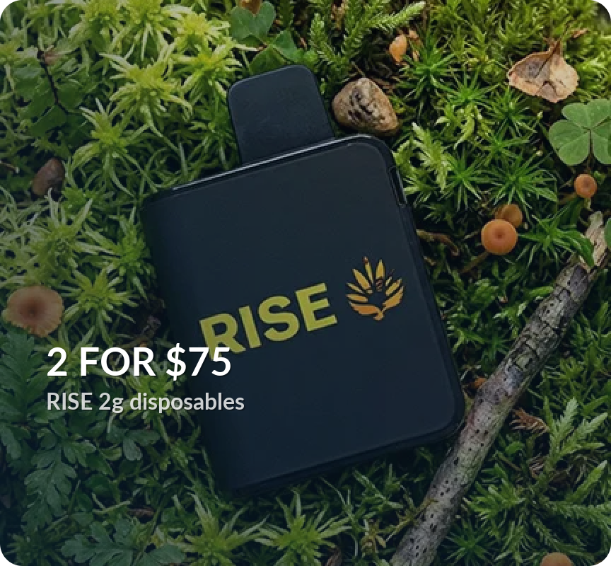 Rise