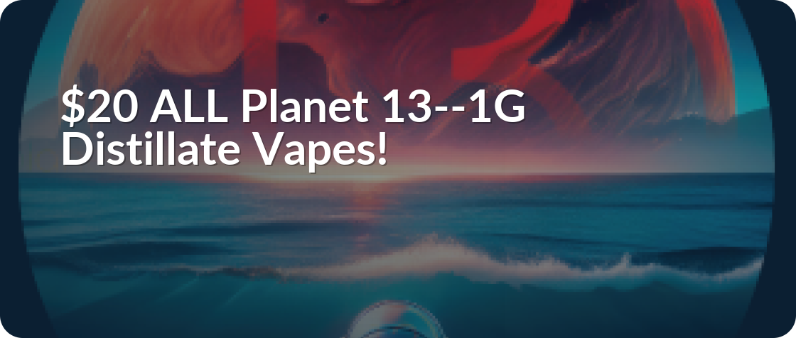 Planet 13