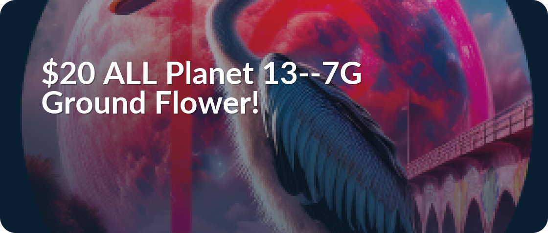 Planet 13